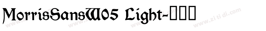 MorrisSansW05 Light字体转换
